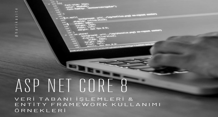 ASP.NET Core 8 ile Veri Tabanı İşlemleri ve Entity Framework Kullanımı Örnekleri